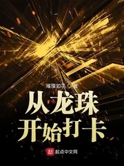 《从龙珠开始打卡》封面