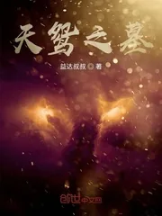 《天鸳之墓》封面