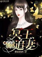《冥王追妻：这个小妞有点甜》封面