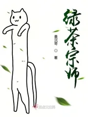 《绿茶宗师》小说封面