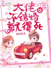 《大佬她不结婚就得死》封面