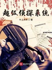 《超级侦探系统》封面