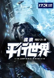 《流浪平行世界》封面