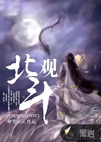 《观北斗》封面