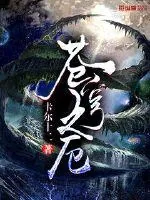 《苍穹之厄》封面