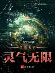 《圣职者的灵气无限》小说封面