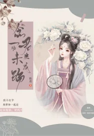 《念君一场未央成殇》封面