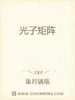 《光子矩阵》封面