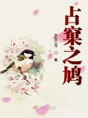 《占窠之鸠》封面