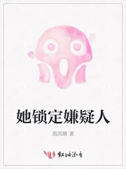 《她锁定嫌疑人》封面