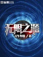《无限之源》封面