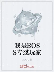 《我是BOSS专怼玩家》封面