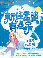 《新任孟婆有点呆》小说封面