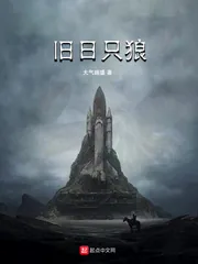 《旧日只狼》封面