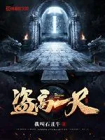 《盗高一尺》小说封面