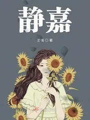 《静嘉》小说封面