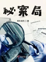 《秘案局》小说封面