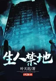《生人禁地》小说封面