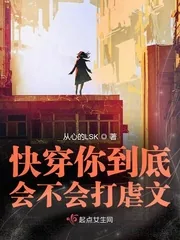 《快穿你到底会不会打虐文》小说封面