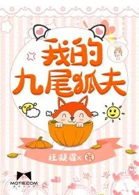 《我的九尾狐夫》封面