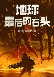 《地球最后的石头》小说封面