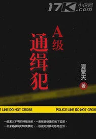 《A级通缉犯》封面