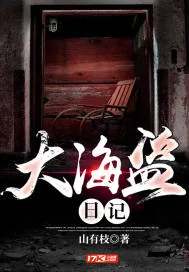 《大海盗日记》封面