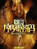 《文明序列密码》封面