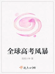 《全球高考风暴》小说封面