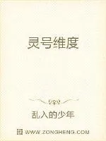 《灵号维度》封面