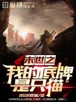 《末世之猫与刻纹师》封面