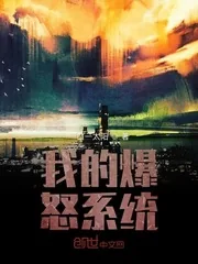《我的爆怒系统》封面