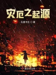 《灾厄之起源》封面