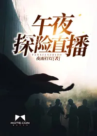 《午夜探险直播》小说封面