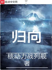 《归向》封面