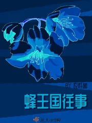 《蜂王国往事》封面