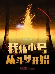 《我炼小号从斗罗开始》封面