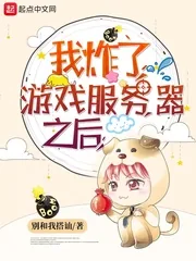 《我炸了游戏服务器之后》封面