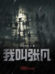 《我叫张凡》小说封面