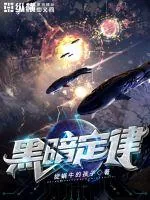 《黑暗定律》封面