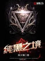 《纯黑之境》封面