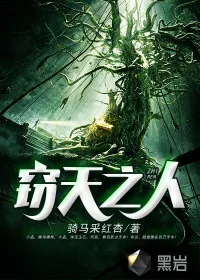 《窃天之人》小说封面