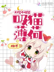 《大佬不可能吸猫薄荷》封面