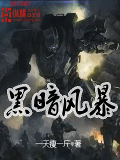 《黑暗风暴》封面