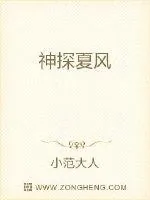 《神探夏风》封面