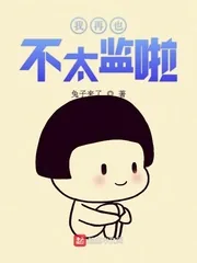 《我再也不太监啦》封面