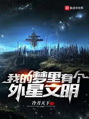 《我的梦里有个外星文明》小说封面