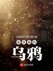 《能穿越的乌鸦》封面