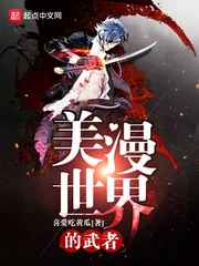 《美漫世界的武者》封面