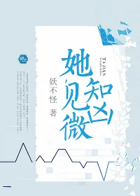 《她，见微知凶。》封面